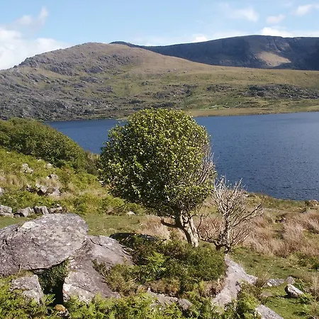 旅馆 布鲁德罗玛德罗米旅馆 *