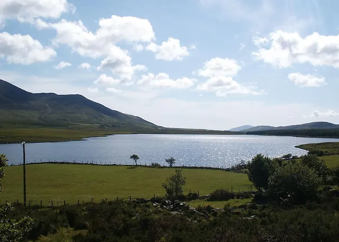 بيت شباب Bru Na Dromoda/dromid