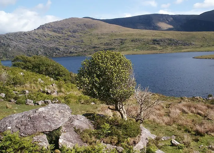 Hostel Bru Na Dromoda/dromid *