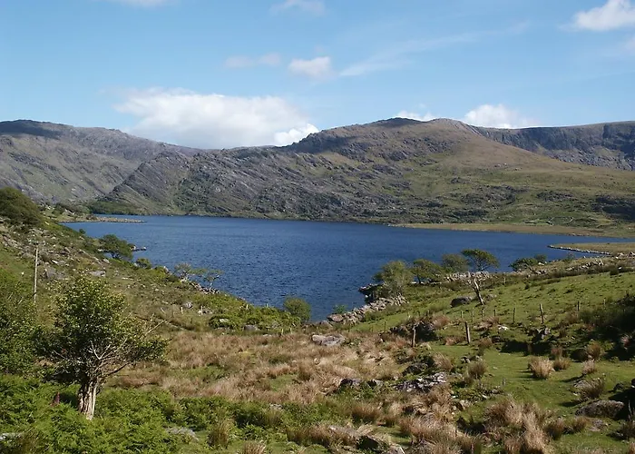 بيت شباب Bru Na Dromoda/dromid *